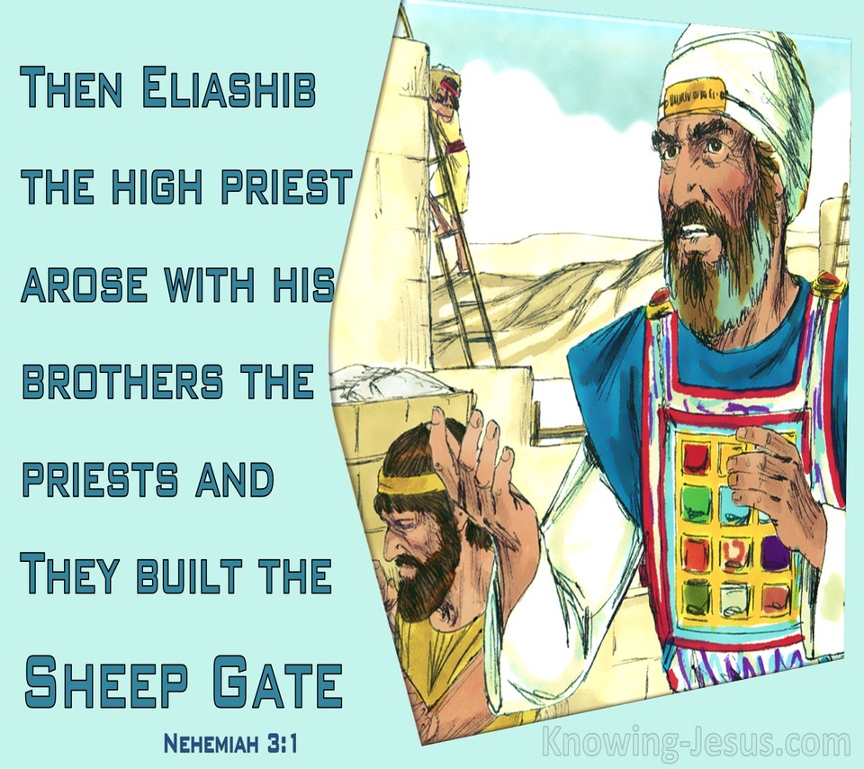 Nehemiah 3:1 Eliashib And The Priests And Built The Sheep Gate (aqua)